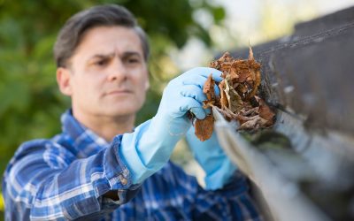 Plan for Fall Home Maintenance