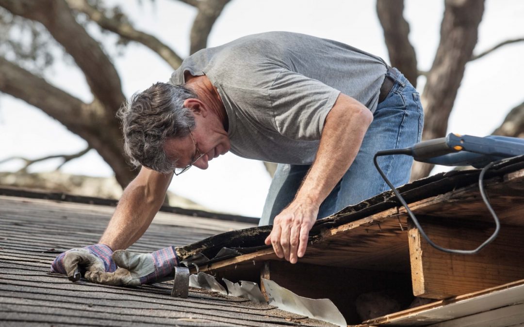 4 Tips for Annual Roof Maintenance