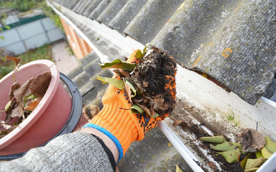 Clean Your Gutters in 6 Steps